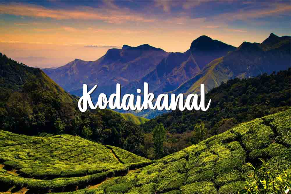 Chennai to Kodaikanal Trip